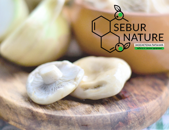 Кому клюковку и груздочки?! Кейс по seo-продвижению интернет-магазина СЕБУР